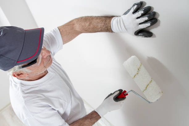 Best Biohazard Mold Removal  in Negaunee, MI