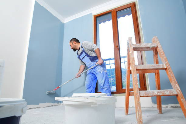Best Mold Odor Removal Services  in Negaunee, MI
