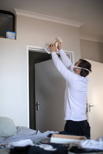 Best Mold Removal for HVAC Installations  in Negaunee, MI
