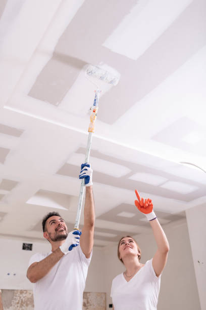  Negaunee, MI Mold Removal Pros