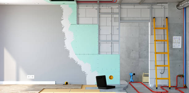 Trusted Negaunee, MI Mold Removal Experts