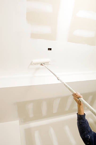 Best Water Damage & Mold Remediation  in Negaunee, MI