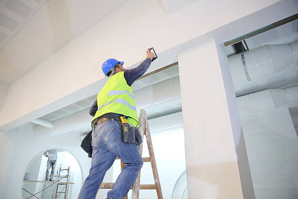 Best Attic Mold Removal  in Negaunee, MI