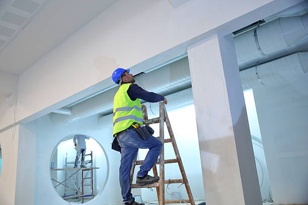 Best Basement Mold Removal  in Negaunee, MI